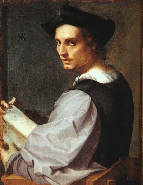 Andrea del Sarto Portrait of a Young Man oil painting picture